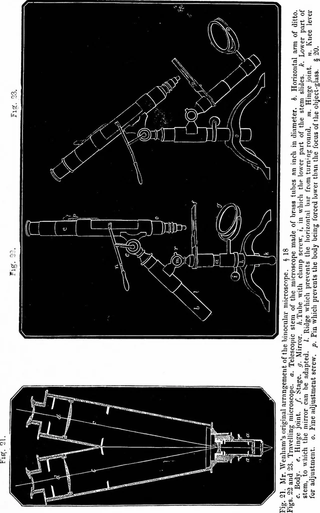 An illustration from How to work with the microscope, 1865, leaf 54