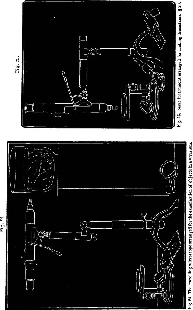 An illustration from How to work with the microscope, 1865, leaf 56