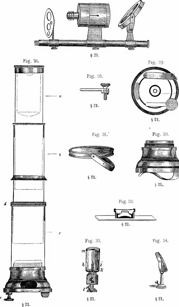 An illustration from How to work with the microscope, 1865, leaf 60