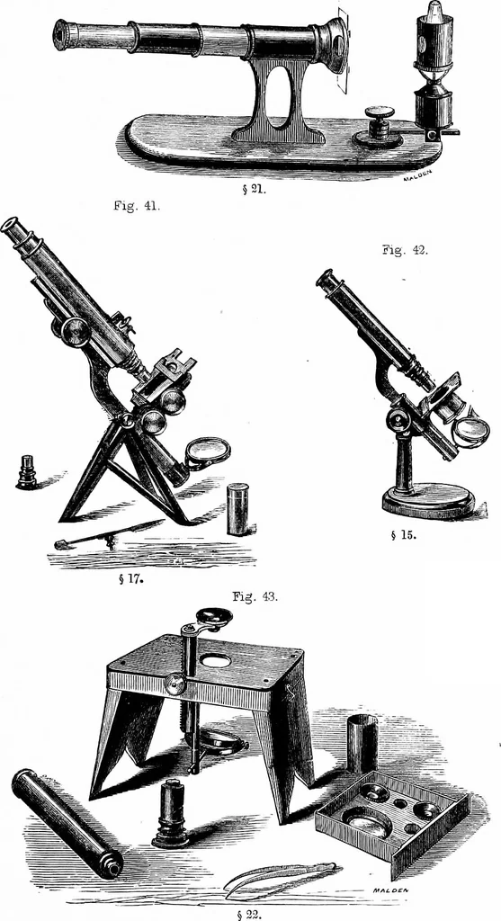 An illustration from How to work with the microscope, 1865, leaf 64