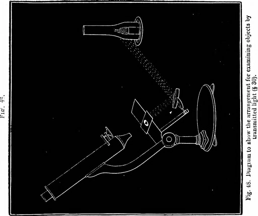 An illustration from How to work with the microscope, 1865, leaf 72
