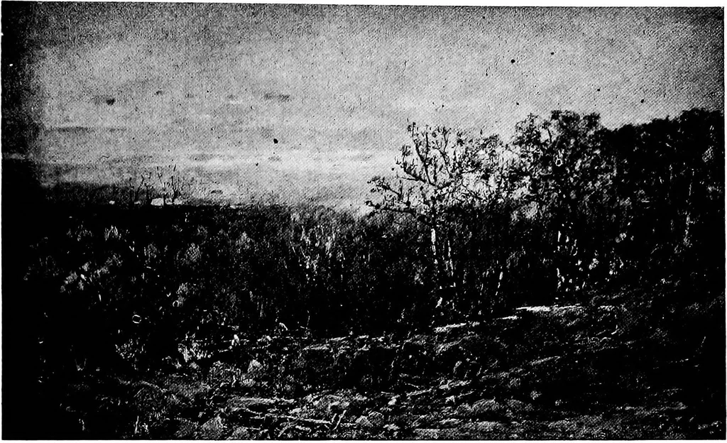 An illustration from The valuable collection of paintings : belonging to Thomas B. Harned, Esq. ... and ... relics of George and Martha Washington and historical china, engraved portraits and views, &c., to be sold ... May 28 and 29, 1917 .., 1917, leaf 64