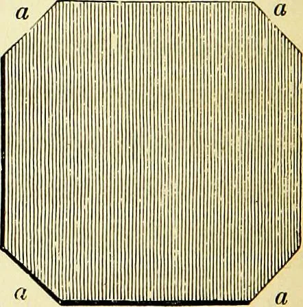 An illustration from A glossary of terms used in Grecian, Roman, Italian, and Gothic architecture, 1845, leaf 105