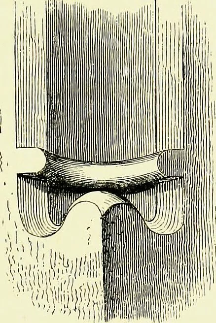 An illustration from A glossary of terms used in Grecian, Roman, Italian, and Gothic architecture, 1845, leaf 116