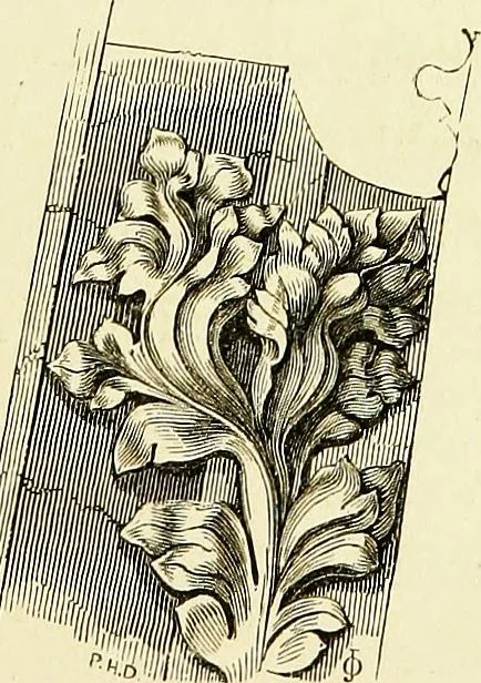 An illustration from A glossary of terms used in Grecian, Roman, Italian, and Gothic architecture, 1845, leaf 140