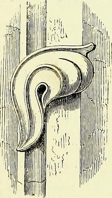 An illustration from A glossary of terms used in Grecian, Roman, Italian, and Gothic architecture, 1845, leaf 190
