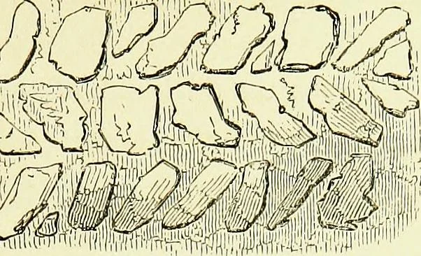 An illustration from A glossary of terms used in Grecian, Roman, Italian, and Gothic architecture, 1845, leaf 222