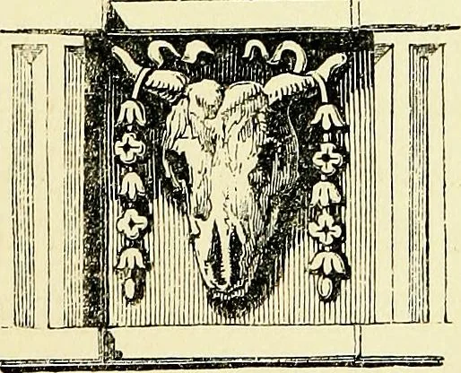 An illustration from A glossary of terms used in Grecian, Roman, Italian, and Gothic architecture, 1845, leaf 264