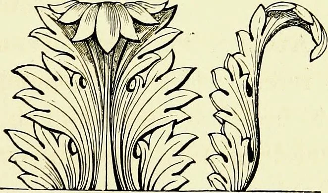 An illustration from A glossary of terms used in Grecian, Roman, Italian, and Gothic architecture, 1845, leaf 28