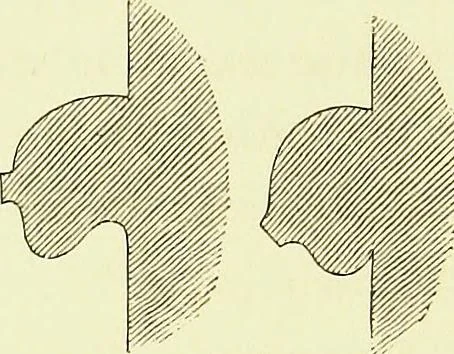 An illustration from A glossary of terms used in Grecian, Roman, Italian, and Gothic architecture, 1845, leaf 333