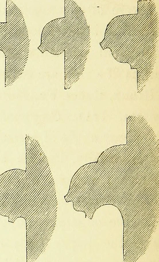 An illustration from A glossary of terms used in Grecian, Roman, Italian, and Gothic architecture, 1845, leaf 333