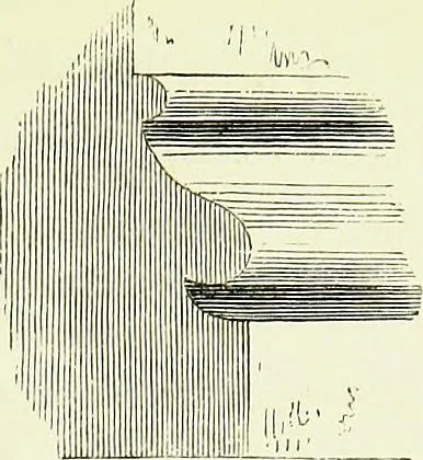 An illustration from A glossary of terms used in Grecian, Roman, Italian, and Gothic architecture, 1845, leaf 356