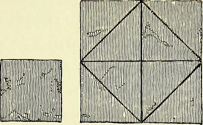 An illustration from A glossary of terms used in Grecian, Roman, Italian, and Gothic architecture, 1845, leaf 392