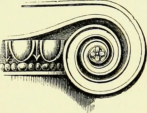 An illustration from A glossary of terms used in Grecian, Roman, Italian, and Gothic architecture, 1845, leaf 424