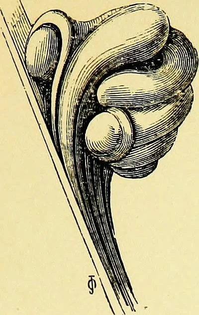 An illustration from A glossary of terms used in Grecian, Roman, Italian, and Gothic architecture, 1845, leaf 116