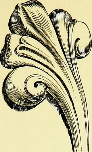 An illustration from A glossary of terms used in Grecian, Roman, Italian, and Gothic architecture, 1845, leaf 116