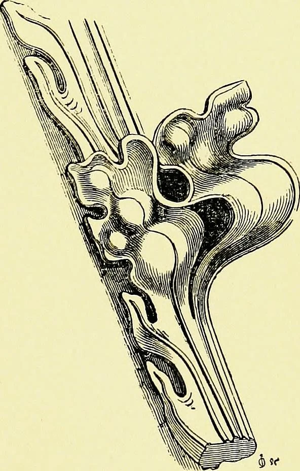 An illustration from A glossary of terms used in Grecian, Roman, Italian, and Gothic architecture, 1845, leaf 116