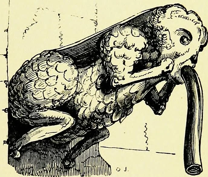 An illustration from A glossary of terms used in Grecian, Roman, Italian, and Gothic architecture, 1845, leaf 164