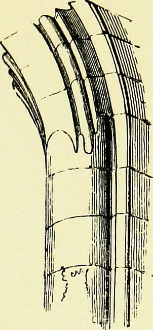 An illustration from A glossary of terms used in Grecian, Roman, Italian, and Gothic architecture, 1845, leaf 170