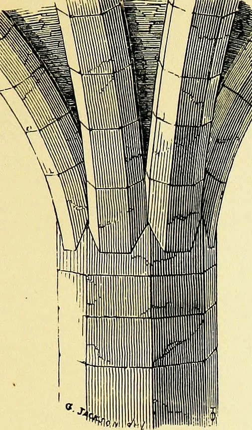 An illustration from A glossary of terms used in Grecian, Roman, Italian, and Gothic architecture, 1845, leaf 172
