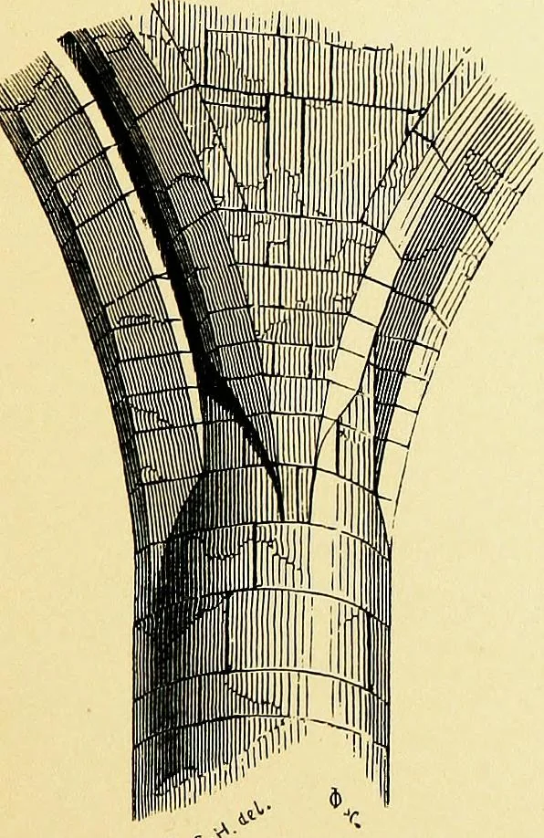 An illustration from A glossary of terms used in Grecian, Roman, Italian, and Gothic architecture, 1845, leaf 172