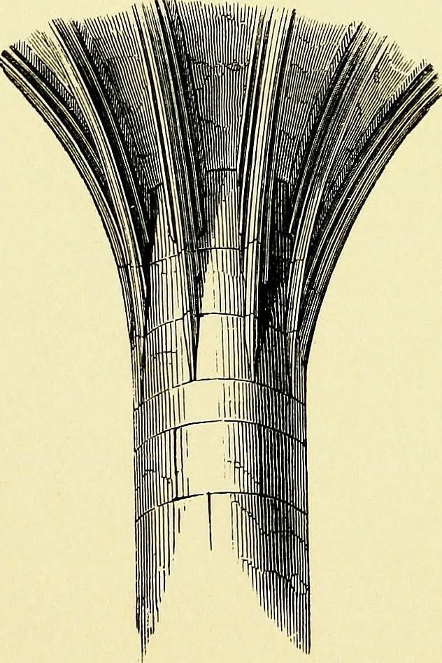 An illustration from A glossary of terms used in Grecian, Roman, Italian, and Gothic architecture, 1845, leaf 172