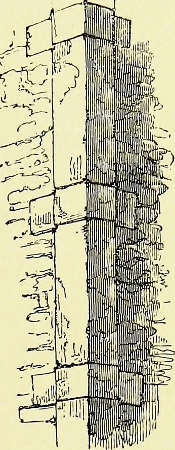 An illustration from A glossary of terms used in Grecian, Roman, Italian, and Gothic architecture, 1845, leaf 182
