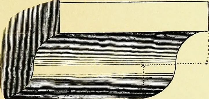 An illustration from A glossary of terms used in Grecian, Roman, Italian, and Gothic architecture, 1845, leaf 186