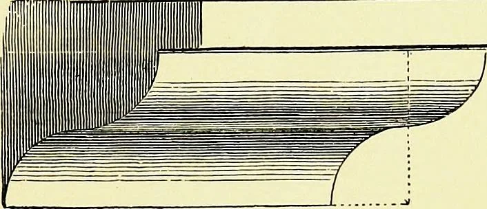 An illustration from A glossary of terms used in Grecian, Roman, Italian, and Gothic architecture, 1845, leaf 186