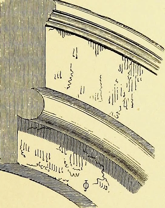 An illustration from A glossary of terms used in Grecian, Roman, Italian, and Gothic architecture, 1845, leaf 188