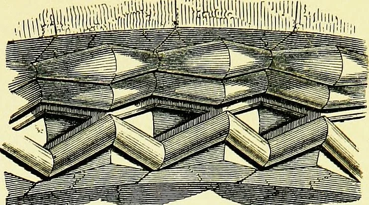 An illustration from A glossary of terms used in Grecian, Roman, Italian, and Gothic architecture, 1845, leaf 190