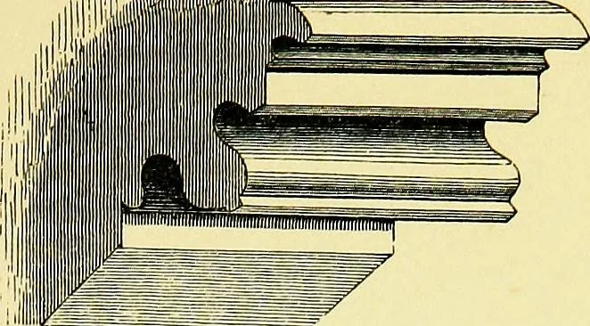 An illustration from A glossary of terms used in Grecian, Roman, Italian, and Gothic architecture, 1845, leaf 202
