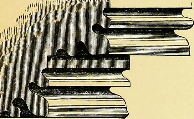 An illustration from A glossary of terms used in Grecian, Roman, Italian, and Gothic architecture, 1845, leaf 202