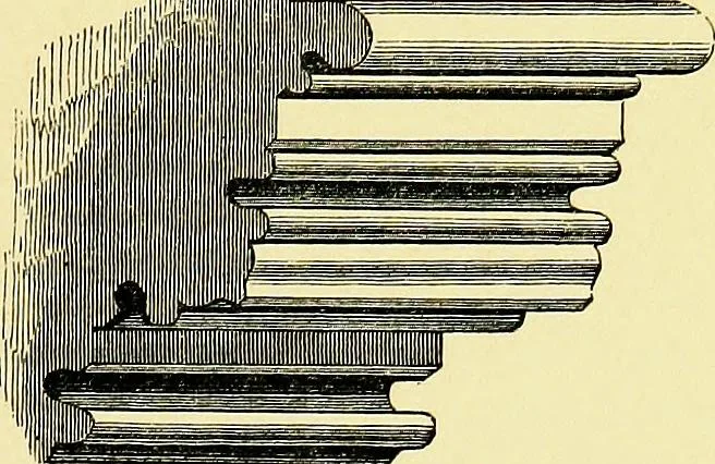 An illustration from A glossary of terms used in Grecian, Roman, Italian, and Gothic architecture, 1845, leaf 202