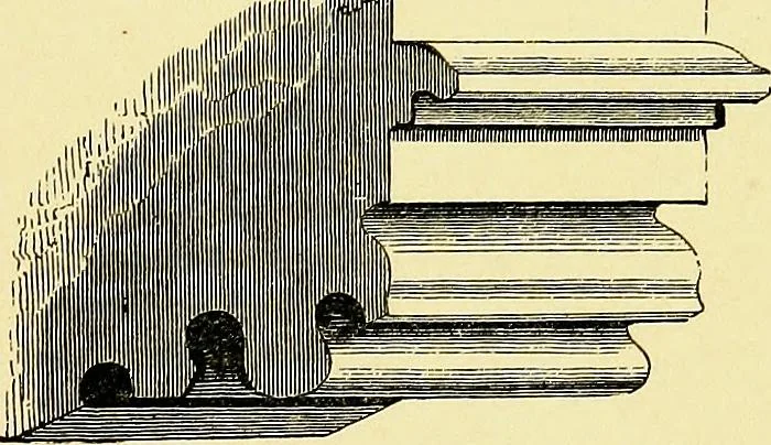 An illustration from A glossary of terms used in Grecian, Roman, Italian, and Gothic architecture, 1845, leaf 202