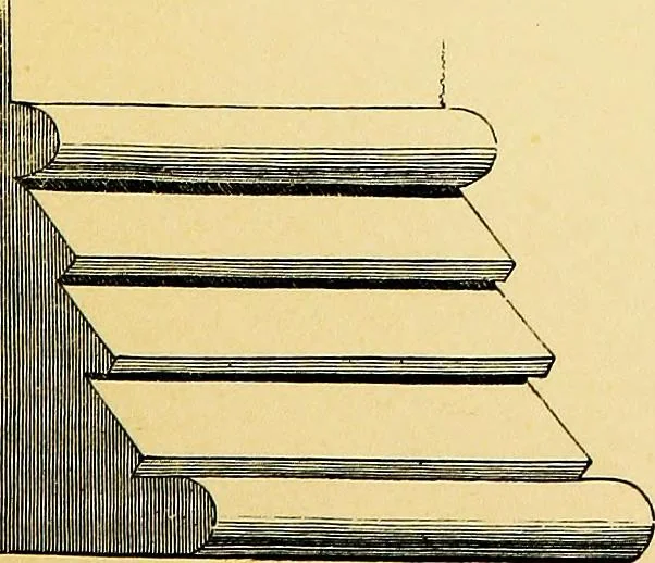 An illustration from A glossary of terms used in Grecian, Roman, Italian, and Gothic architecture, 1845, leaf 202