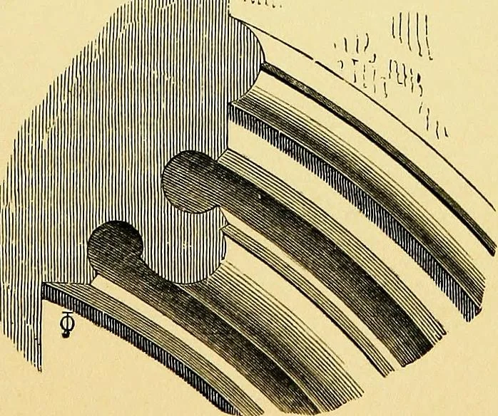 An illustration from A glossary of terms used in Grecian, Roman, Italian, and Gothic architecture, 1845, leaf 204