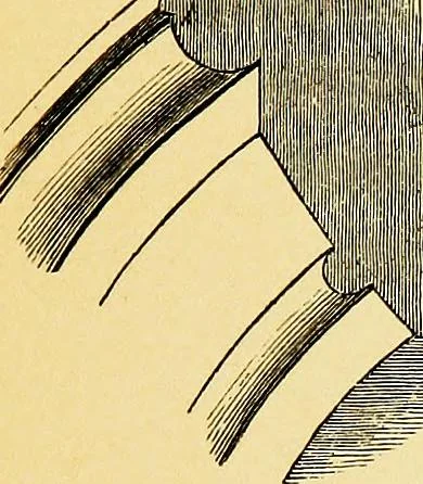 An illustration from A glossary of terms used in Grecian, Roman, Italian, and Gothic architecture, 1845, leaf 210