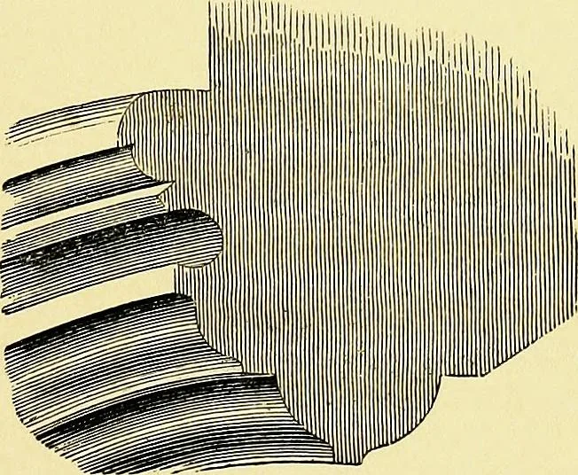 An illustration from A glossary of terms used in Grecian, Roman, Italian, and Gothic architecture, 1845, leaf 210