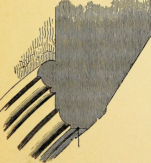 An illustration from A glossary of terms used in Grecian, Roman, Italian, and Gothic architecture, 1845, leaf 210