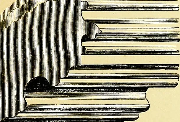 An illustration from A glossary of terms used in Grecian, Roman, Italian, and Gothic architecture, 1845, leaf 214