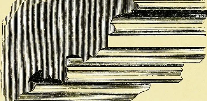 An illustration from A glossary of terms used in Grecian, Roman, Italian, and Gothic architecture, 1845, leaf 214