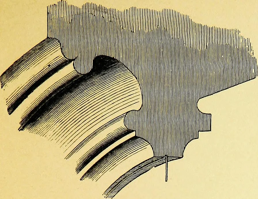 An illustration from A glossary of terms used in Grecian, Roman, Italian, and Gothic architecture, 1845, leaf 216