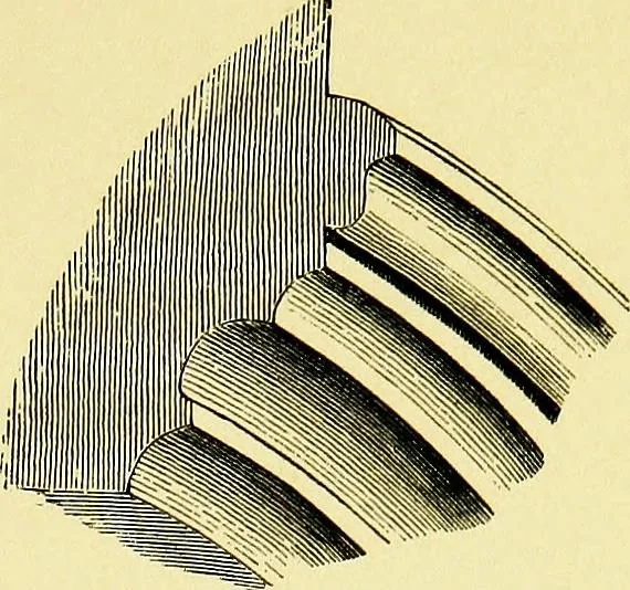 An illustration from A glossary of terms used in Grecian, Roman, Italian, and Gothic architecture, 1845, leaf 216