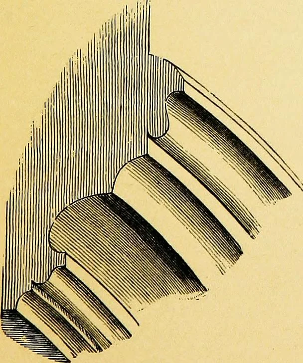An illustration from A glossary of terms used in Grecian, Roman, Italian, and Gothic architecture, 1845, leaf 216