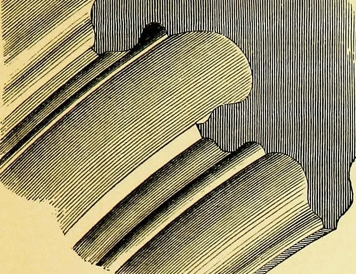 An illustration from A glossary of terms used in Grecian, Roman, Italian, and Gothic architecture, 1845, leaf 220