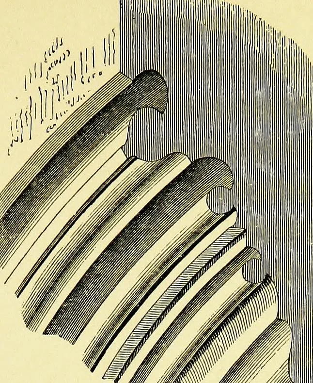 An illustration from A glossary of terms used in Grecian, Roman, Italian, and Gothic architecture, 1845, leaf 220
