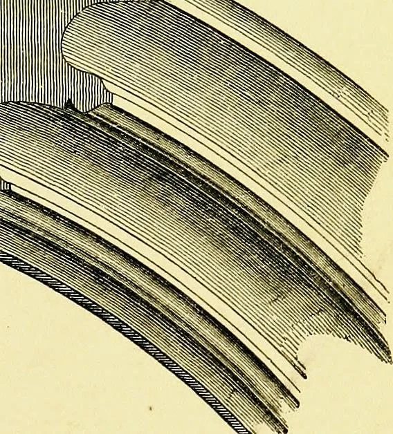 An illustration from A glossary of terms used in Grecian, Roman, Italian, and Gothic architecture, 1845, leaf 220