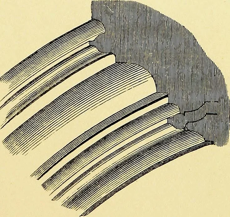 An illustration from A glossary of terms used in Grecian, Roman, Italian, and Gothic architecture, 1845, leaf 220