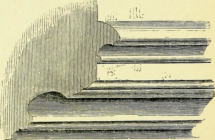An illustration from A glossary of terms used in Grecian, Roman, Italian, and Gothic architecture, 1845, leaf 23